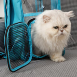 Transparent panoramic space capsule Pet bag  travel outdoor pet