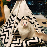 High-Quality luxury outdoor wood house luxury dog cat canvas Creative