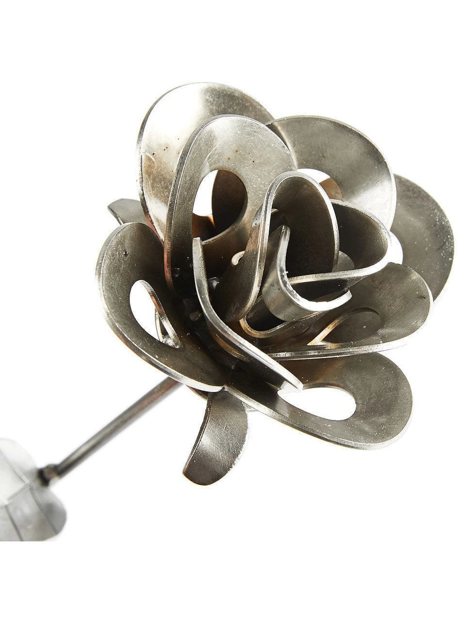 The Immortal Rose freeshipping - betonier